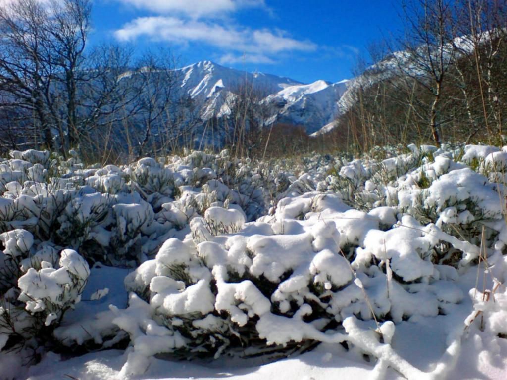 Aux 500 Diables Eco Lodge - Hotel Chambon-sur-Lac Εξωτερικό φωτογραφία